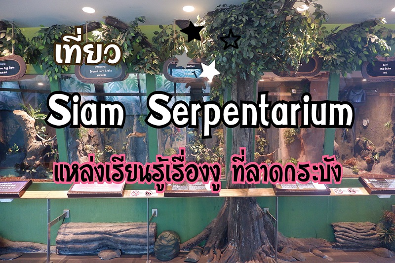 Siam Serpentarium แหล่งเรียนรู้เรื่องงู