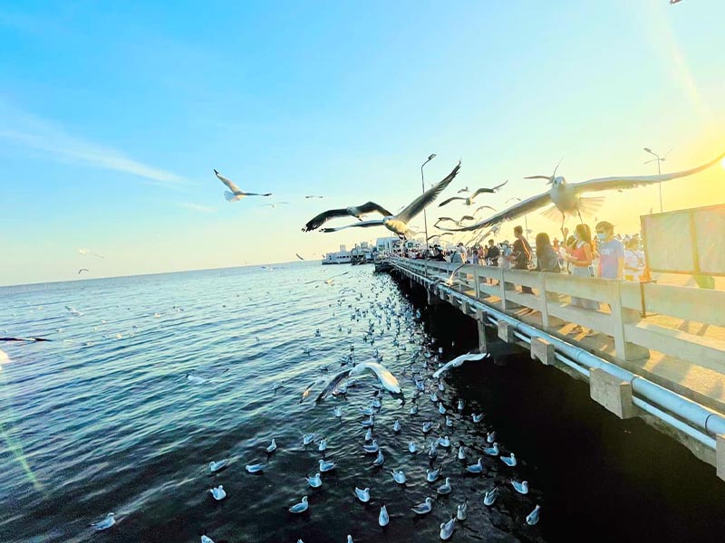 สถานตากอากาศบางปู